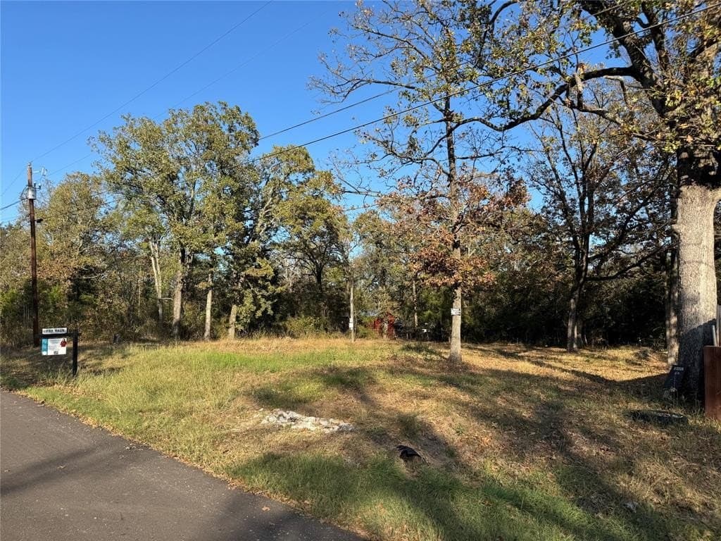 0.13 acres in Henderson County - photo 2