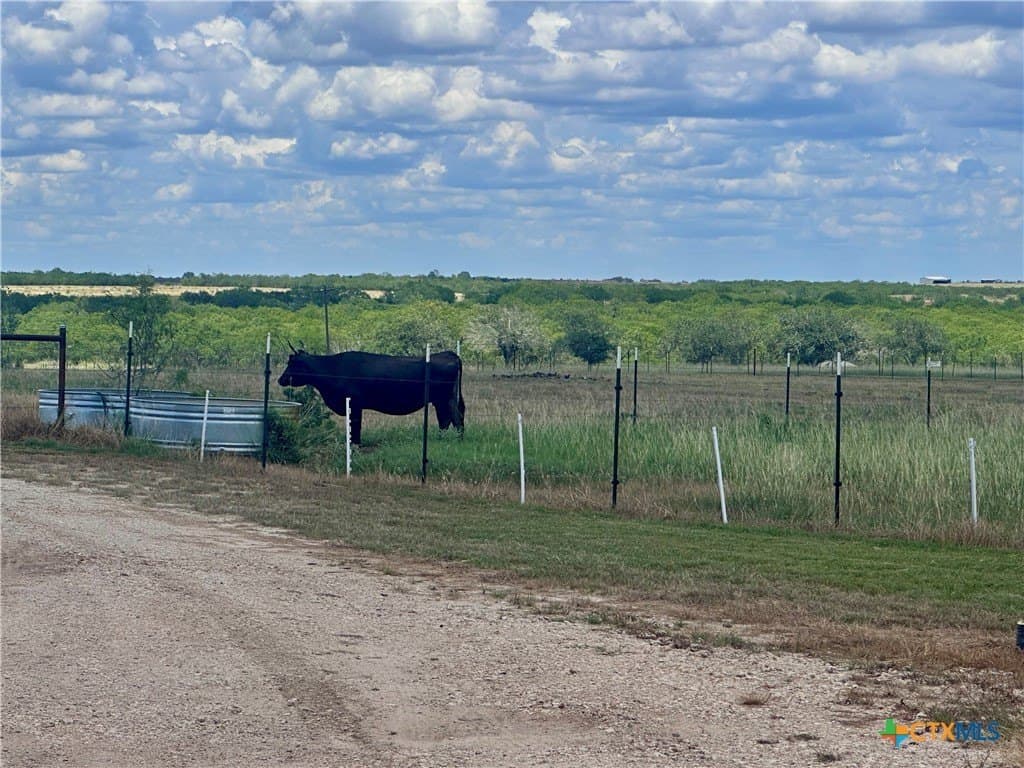 11 acres in Wilson County - photo 6
