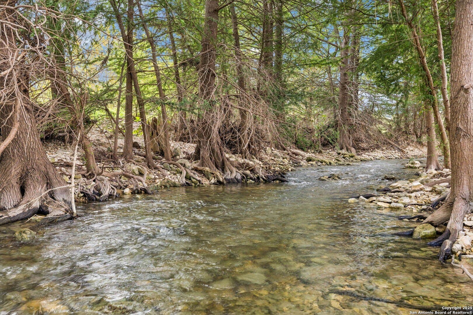 108 acres in Bandera County - photo 4