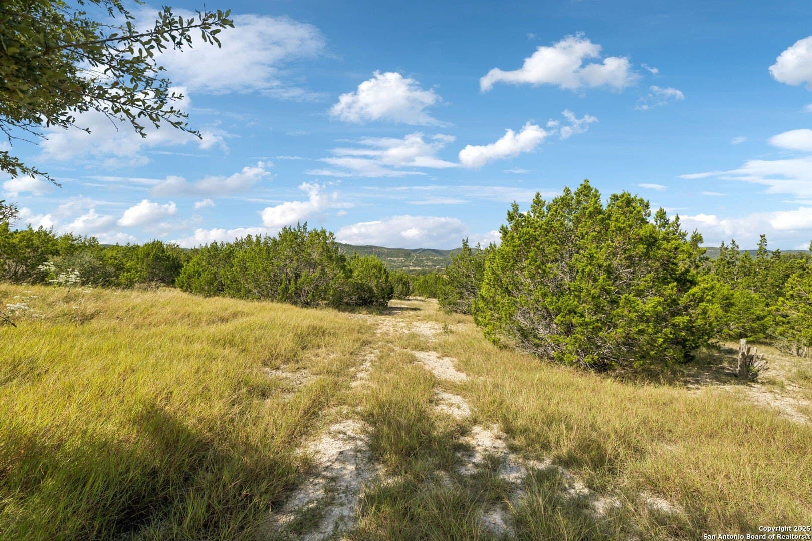 108 acres in Bandera County - photo 19