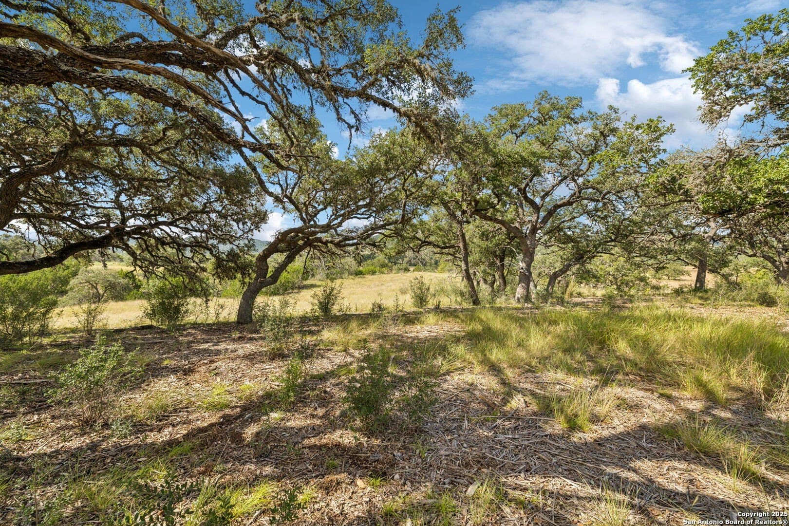 108 acres in Bandera County - photo 15