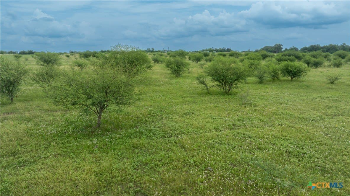 10.01 acres in DeWitt County - photo 12