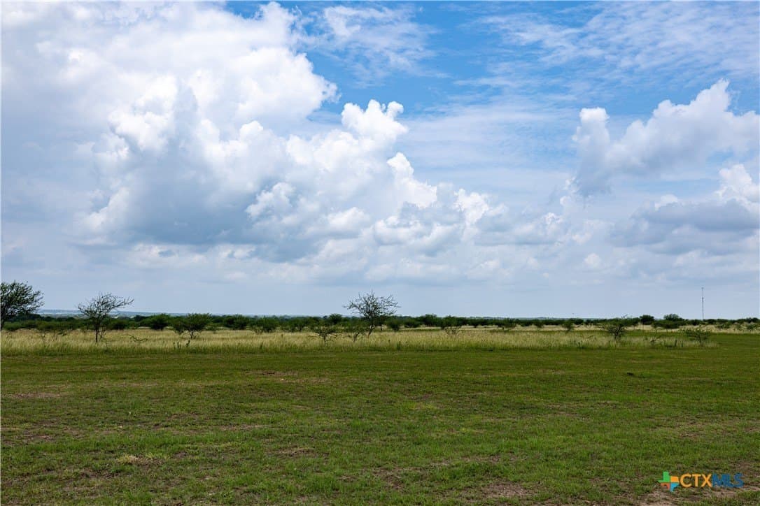 10.01 acres in DeWitt County - photo 8