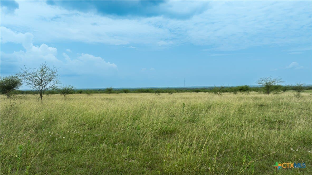 10.01 acres in DeWitt County - photo 11