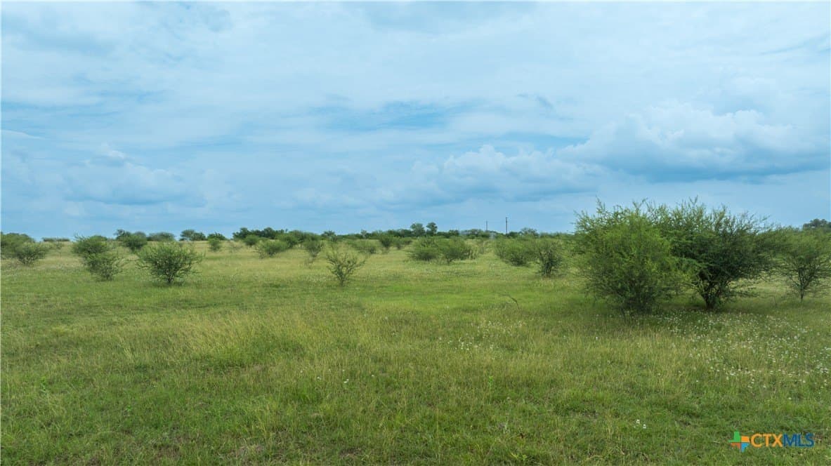 10.01 acres in DeWitt County - photo 15
