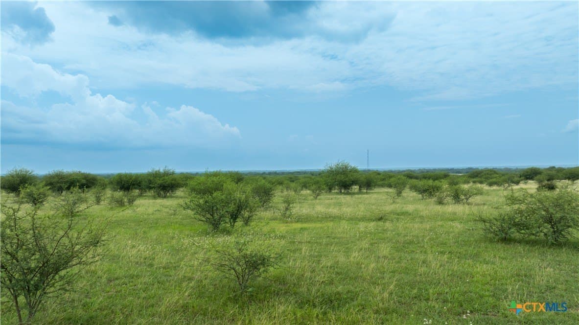 10.01 acres in DeWitt County - photo 13