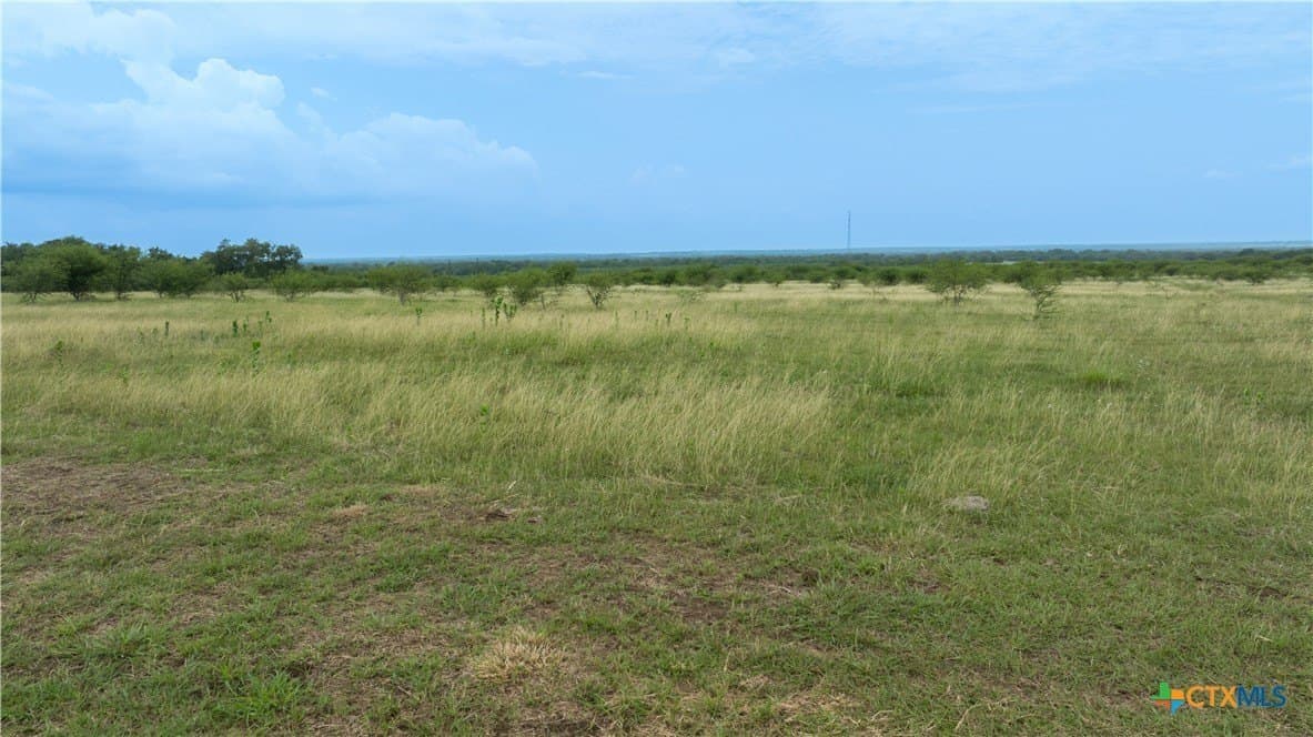 10.01 acres in DeWitt County - photo 17