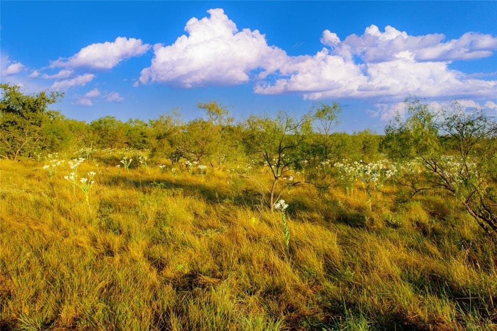 51.17 acres in Palo Pinto County - photo 10