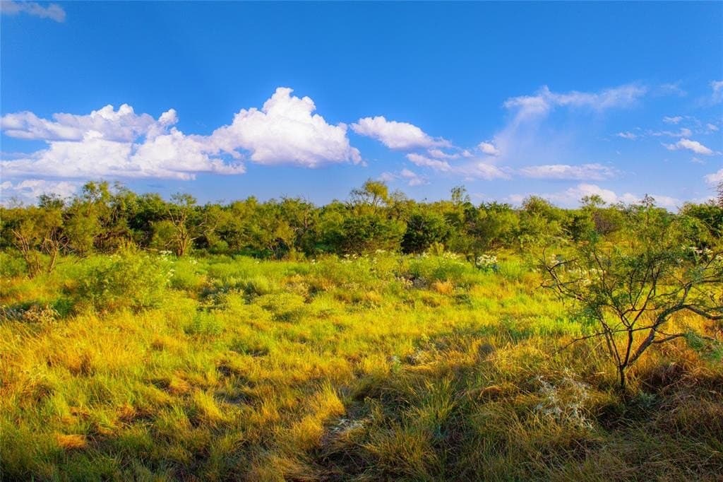 51.17 acres in Palo Pinto County - photo 8