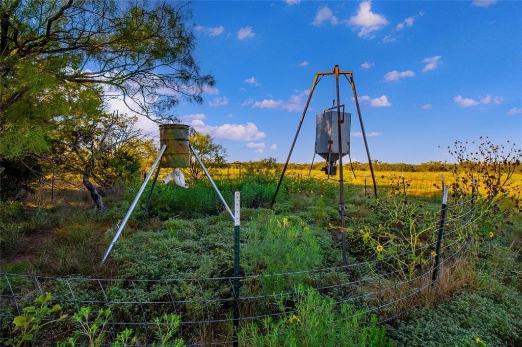 51.17 acres in Palo Pinto County - photo 4