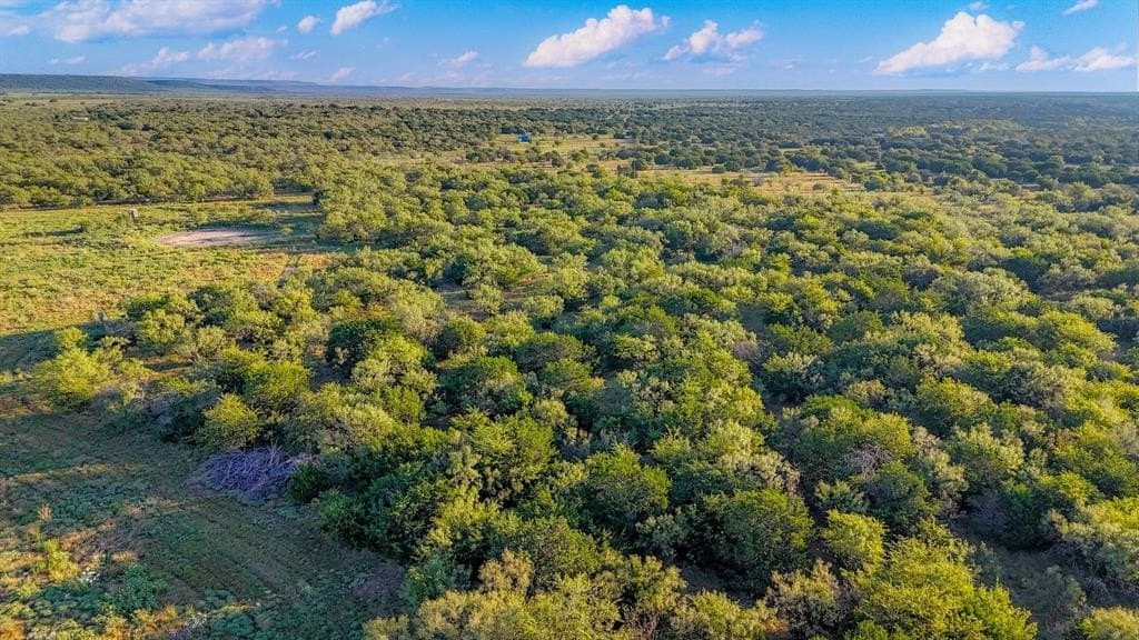 51.17 acres in Palo Pinto County - photo 2