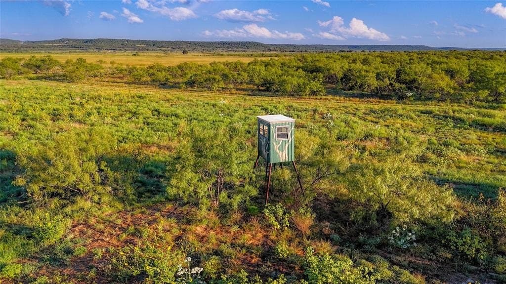 51.17 acres in Palo Pinto County - photo 3