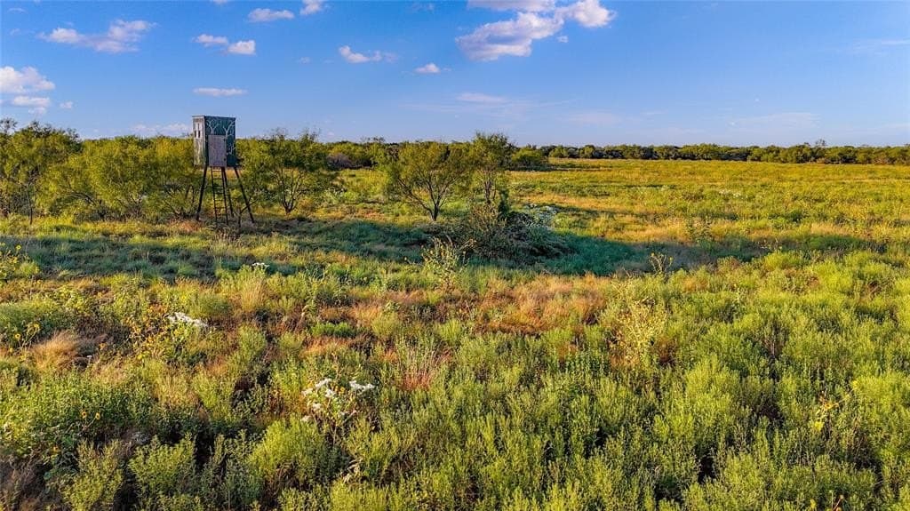 51.17 acres in Palo Pinto County - photo 7