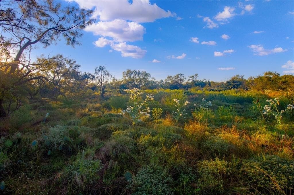 51.17 acres in Palo Pinto County - photo 12