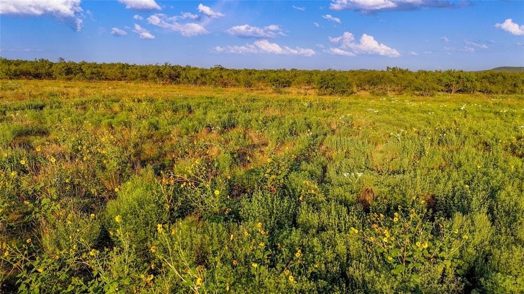 51.17 acres in Palo Pinto County - photo 6