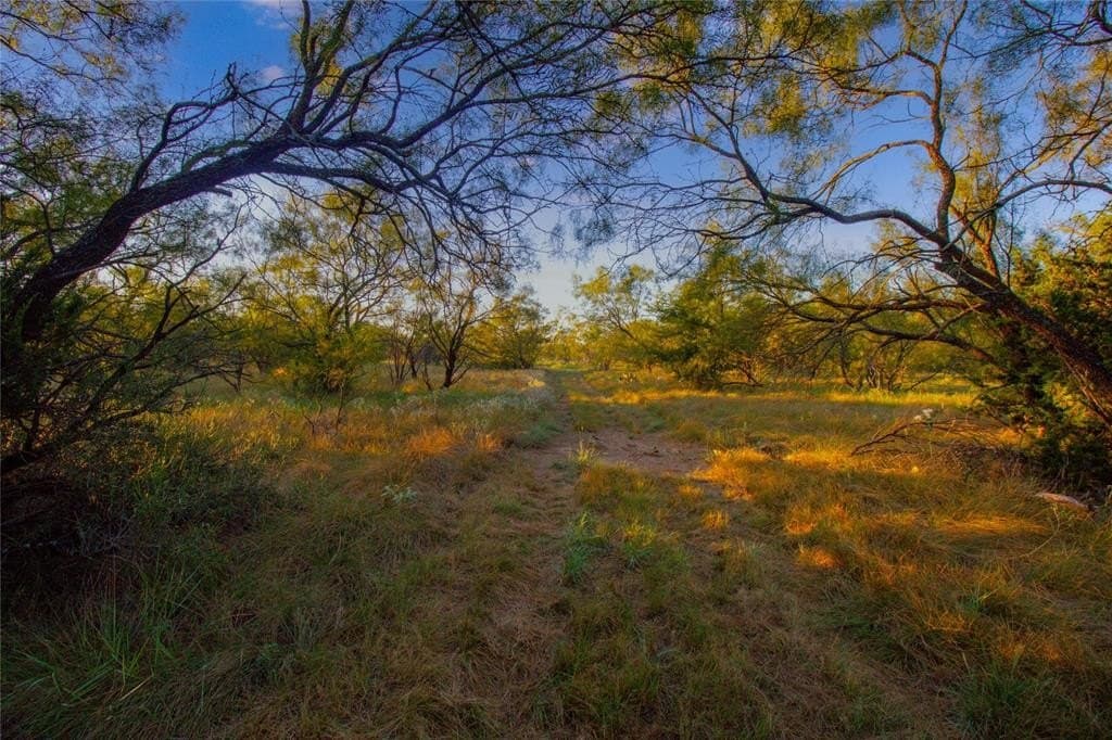 51.17 acres in Palo Pinto County - photo 13