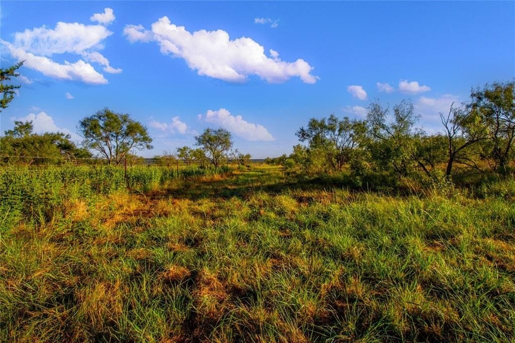 51.17 acres in Palo Pinto County - photo 5