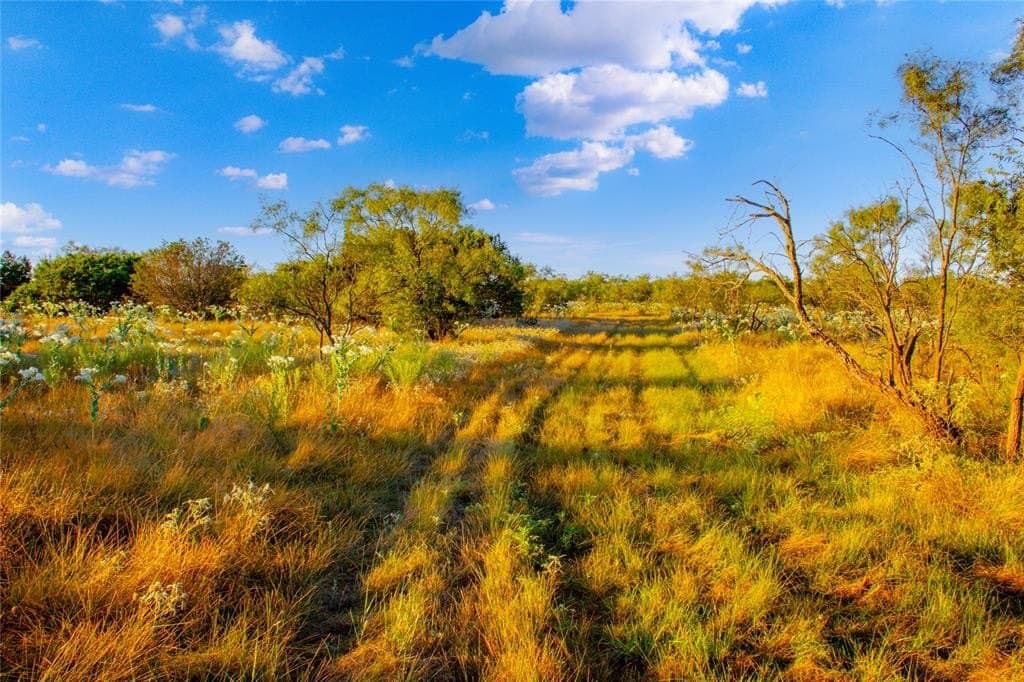 51.17 acres in Palo Pinto County - photo 11