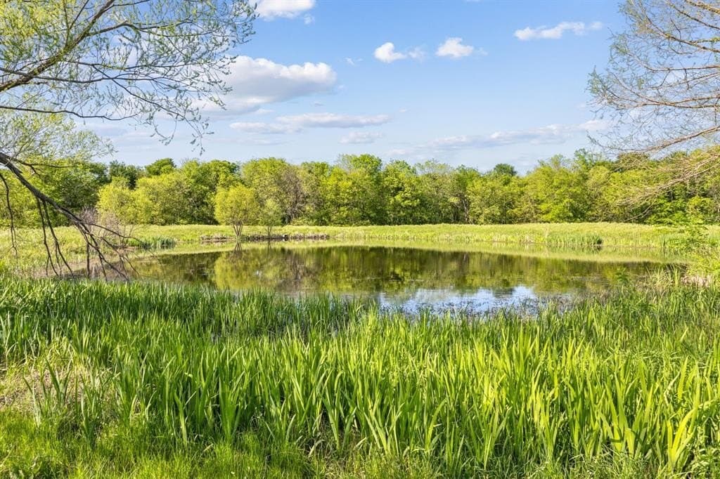 11.5 acres in Rockwall County - photo 30