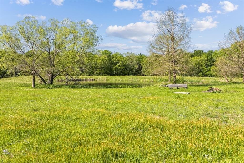 11.5 acres in Rockwall County - photo 31