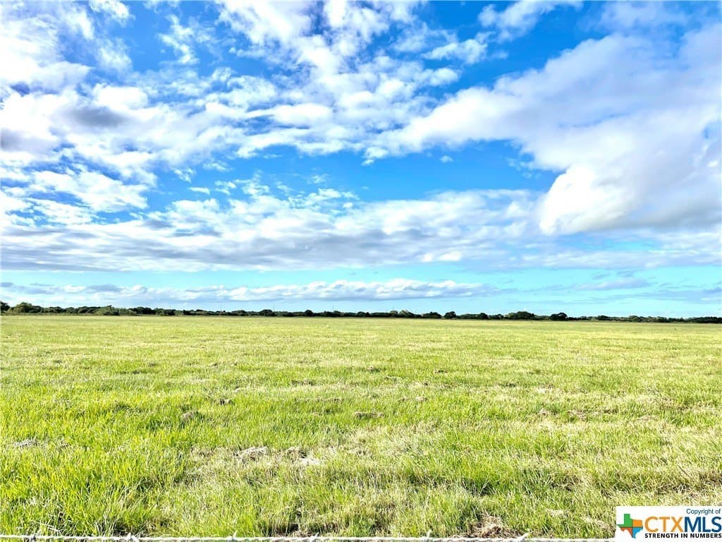 10 acres in Calhoun County - photo 3