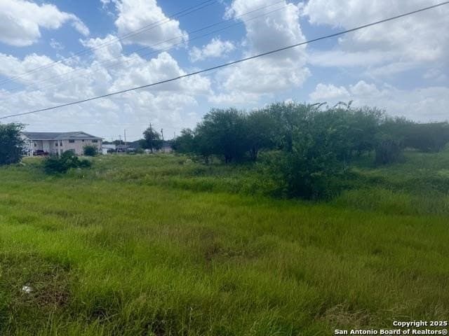 3 acres in Bee County - photo 2