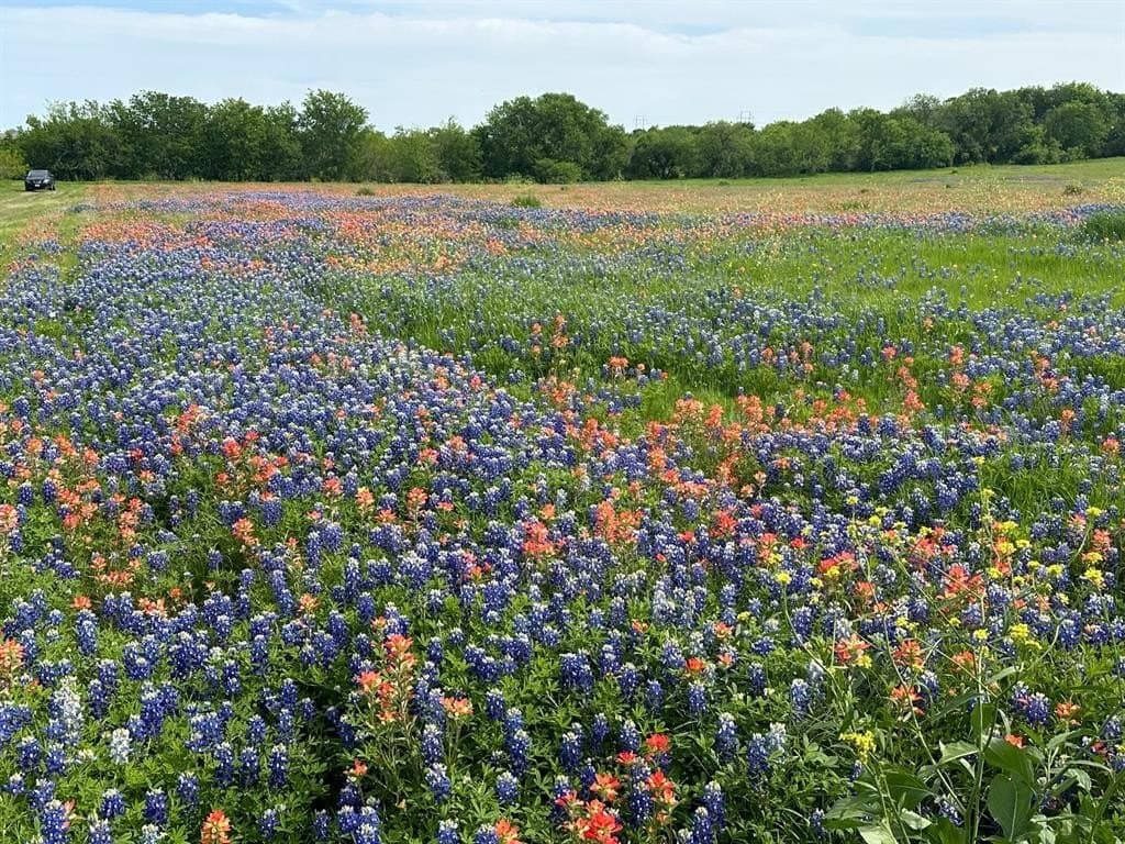 5.61 acres in Ellis County - photo 5