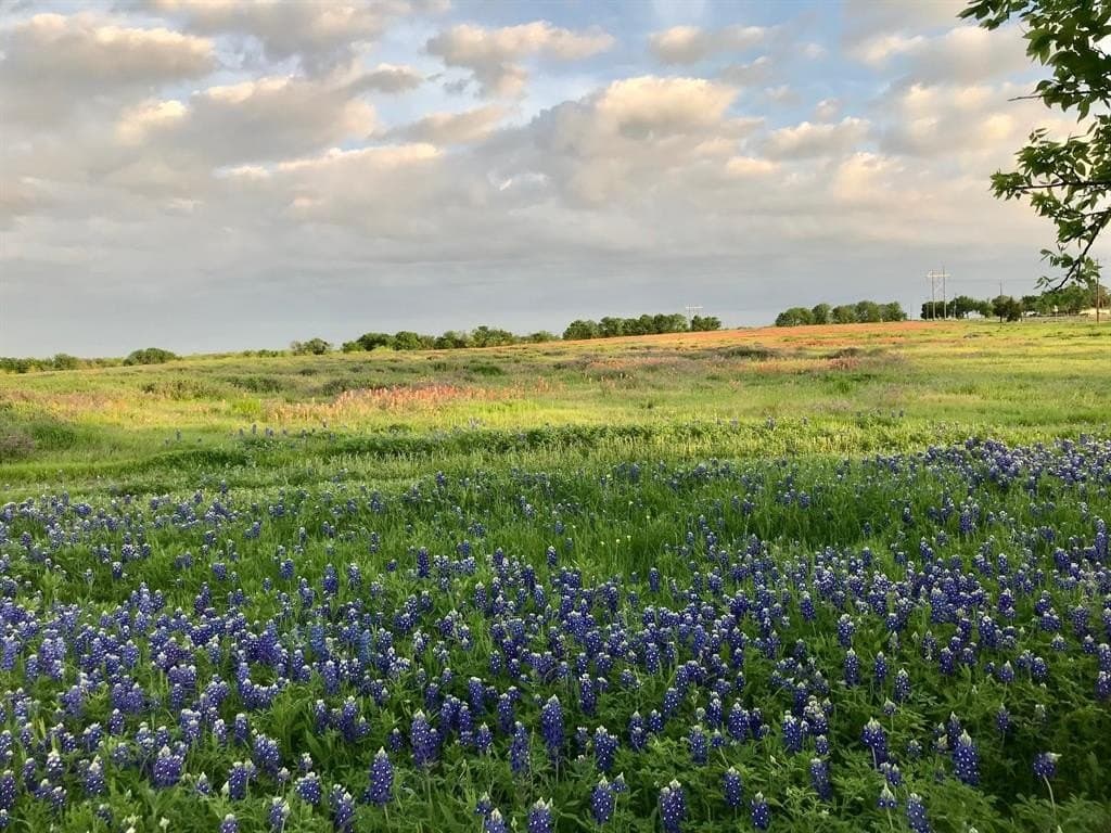 5.61 acres in Ellis County - photo 7