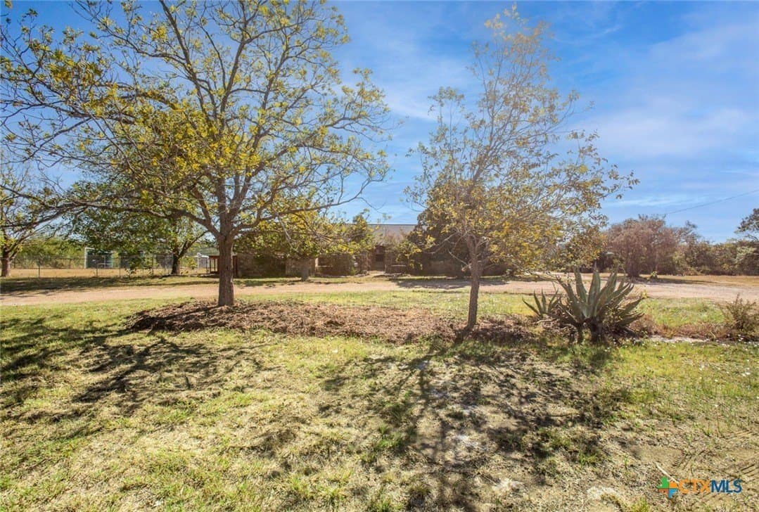 20 acres in Travis County - photo 8