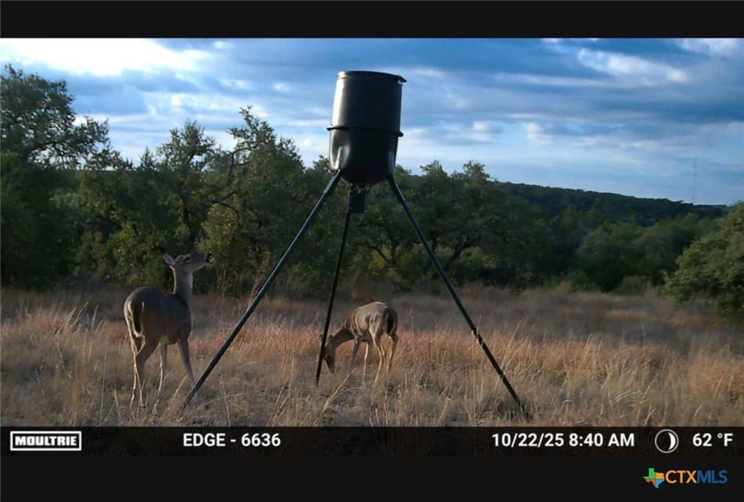 20 acres in Travis County - photo 6