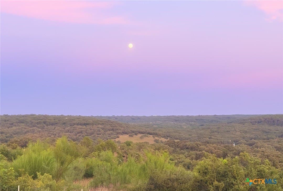 20 acres in Travis County - photo 26
