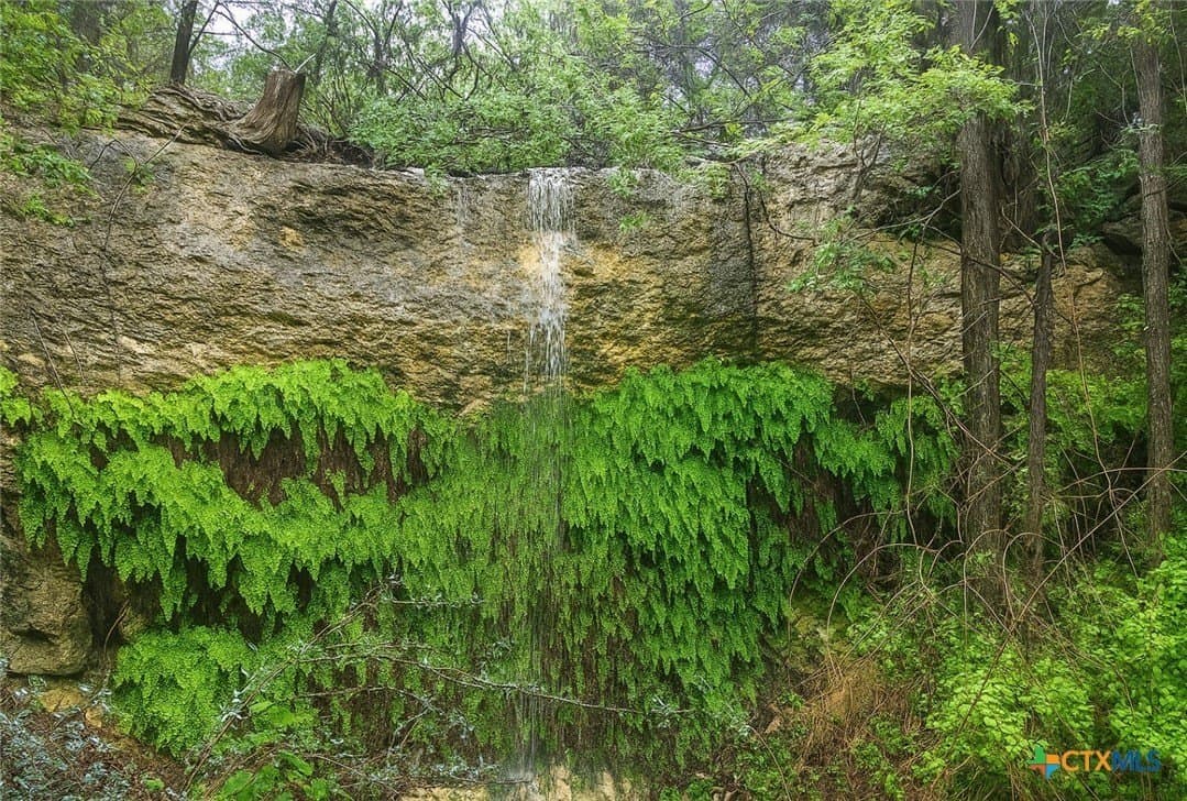 20 acres in Travis County - photo 5