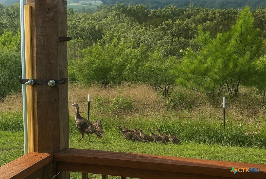 20 acres in Travis County - photo 30