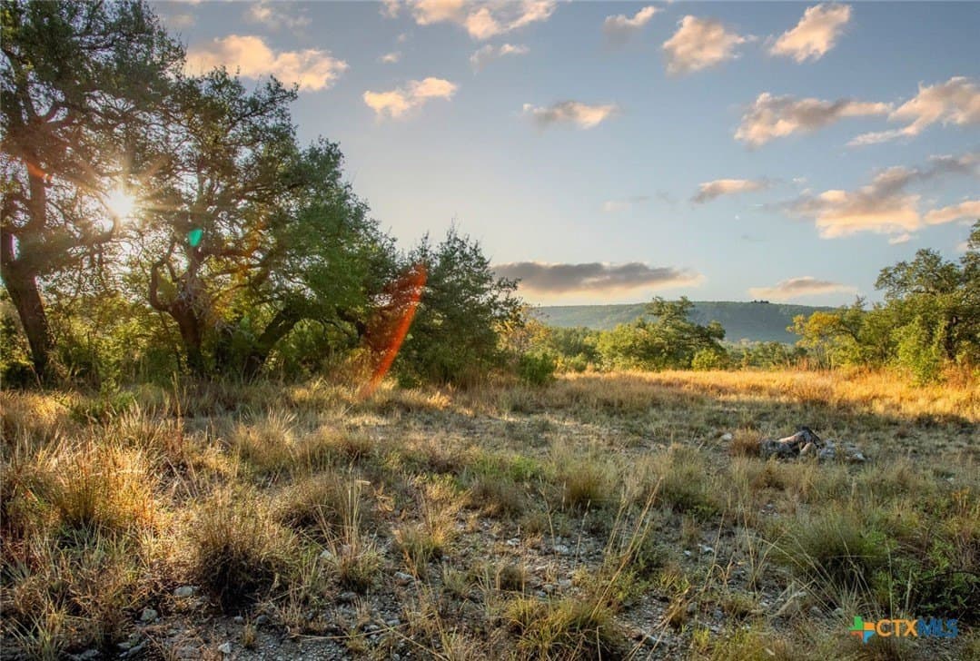 20 acres in Travis County - photo 24
