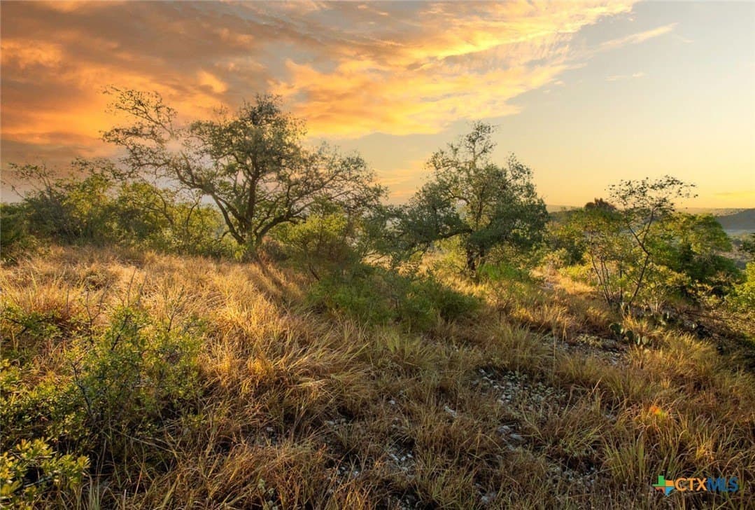20 acres in Travis County - photo 4