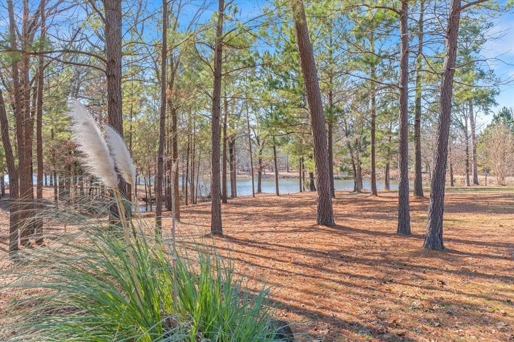36.57 acres in Van Zandt County - photo 32