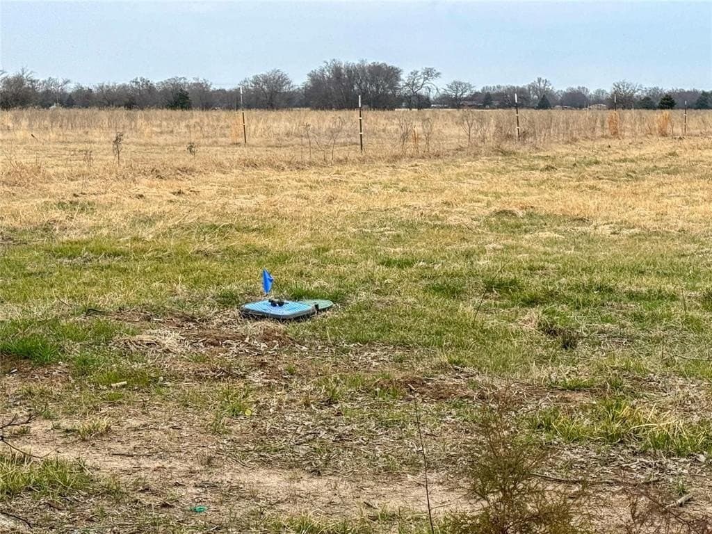 3 acres in Rains County - photo 5