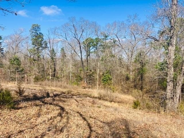 3.19 acres in Smith County - photo 12