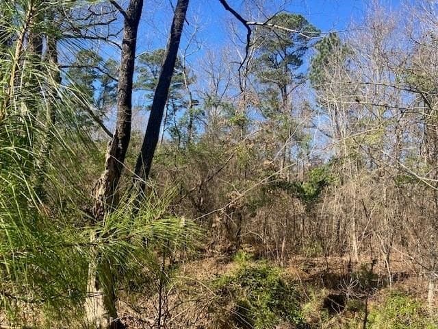3.19 acres in Smith County - photo 13