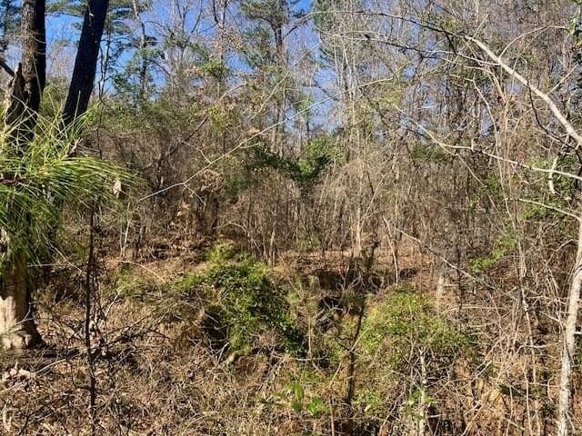 3.19 acres in Smith County - photo 14
