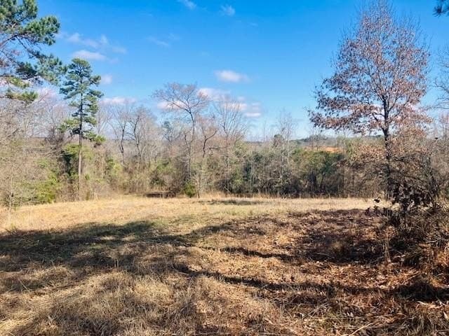 3.19 acres in Smith County - photo 6