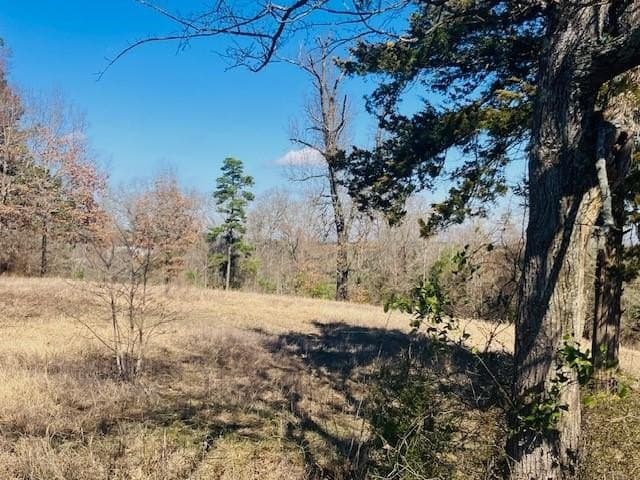 3.19 acres in Smith County - photo 4
