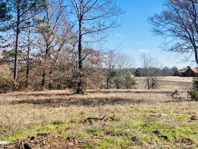 3.19 acres in Smith County - photo 10