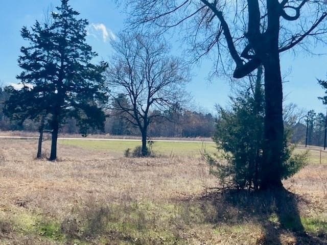 3.19 acres in Smith County - photo 5
