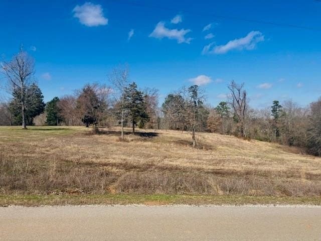 3.19 acres in Smith County - photo 2