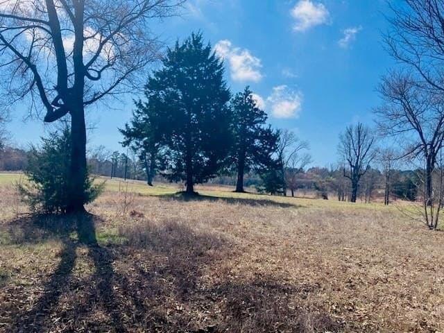 3.19 acres in Smith County - photo 7