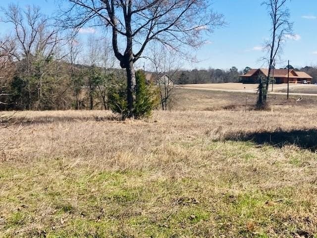 3.19 acres in Smith County - photo 8