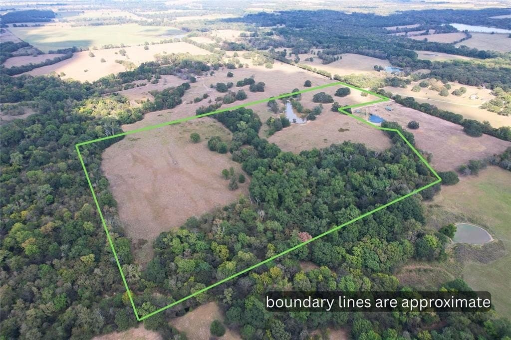 47 acres in Hopkins County - photo 4