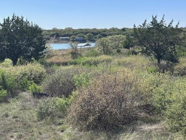 0.9 acres in Eastland County - photo 2