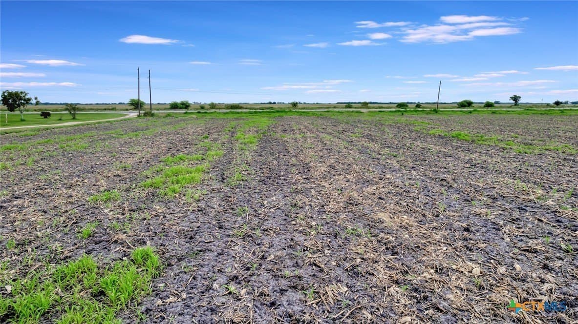 13.42 acres in Victoria County - photo 8